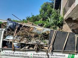 Best Hoarding Cleanup  in Oak Harbor, OH