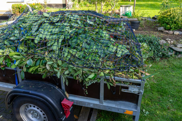 Best Estate Cleanout  in Oak Harbor, OH